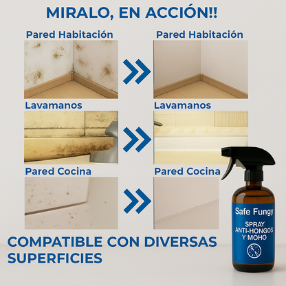 SafeFungy - La Solución a Los Hongos de tu Hogar